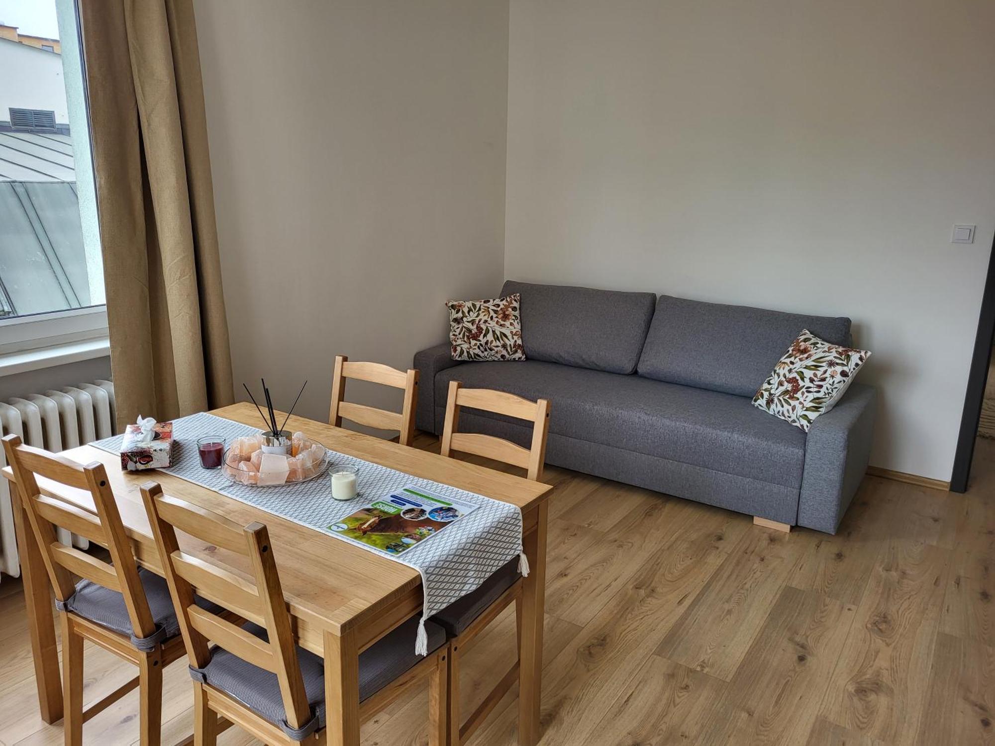 Apartment Apartma Gabriela Brno