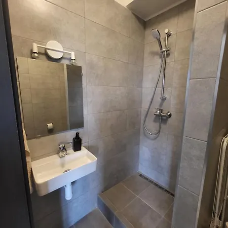 Apartma Gabriela Brno Esterno foto